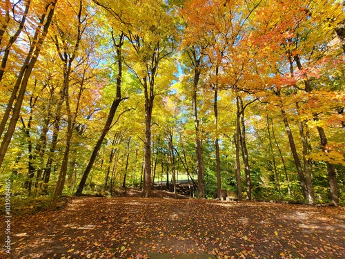 Autumn Disc golf at Royalton Ravine Disc Golf Course photo