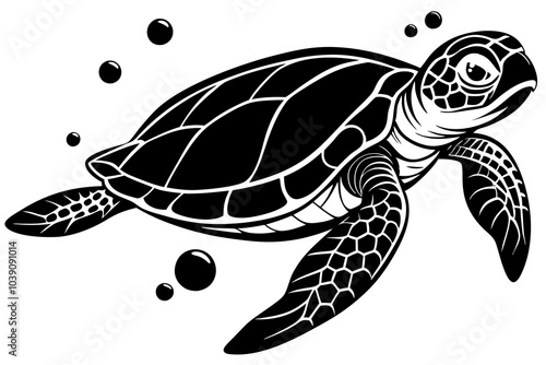  turtle underwater in Hawaii