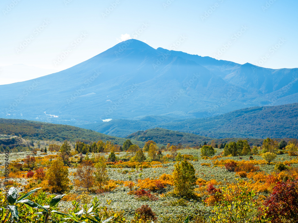 Fototapeta premium 秋の八幡平(秋田県仙北市)