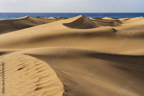 Dunas del desierto de Maspalomas en Gran Canaria