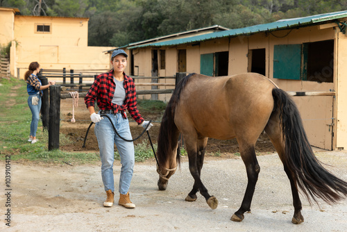 Positive pretty young girl rancher in plaid shirt and gloves preparing horse for riding in paddock at big stable photo