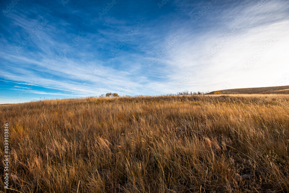 Blackstrap provincial park in Autumn Blackstrap provincial park in Autumn