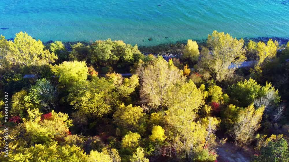 Autumn colors by the water’s edge of Lake Ontario, Canada. Drone point of view Autumn colors by the water’s edge of Lake Ontario, Canada. Drone point of view