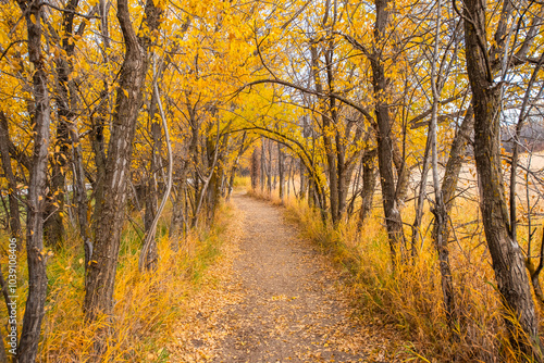 Blackstrap provincial park in Autumn