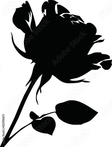 Roses flat black icon. Rose Art Beautiful Black and White Rose Illustration, Flowers silhouette icons.