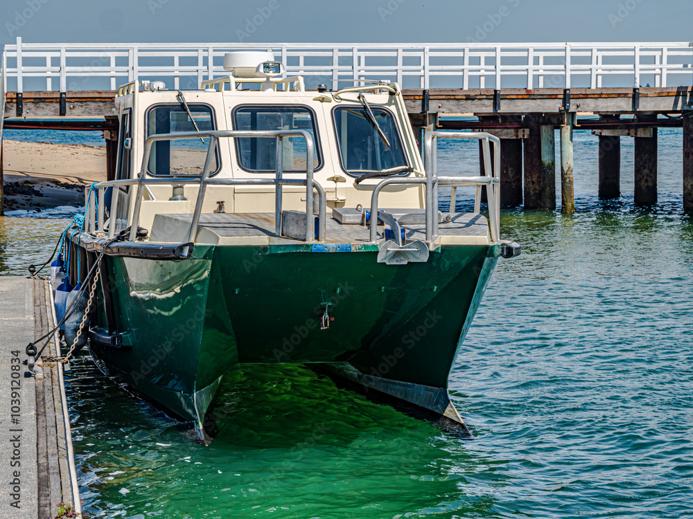 Dark Green Catamaran Patrol Boat Dark Green Catamaran Patrol Boat