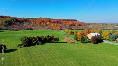 4K top-down cinematic drone shot flying above forest and farmland alongside forest path road carved through colorful maple trees of autumn, with city downtown skyline in view, Ontario Canada