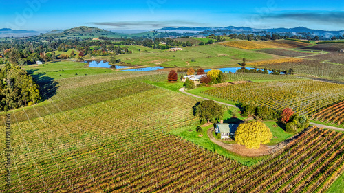 Autumn colours around a farmhouse in the vineyards near Yarra Glen