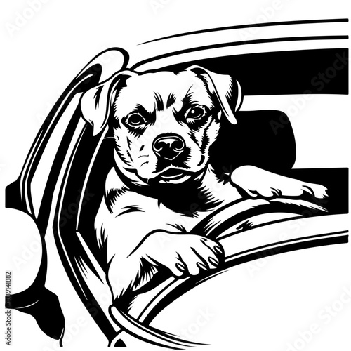 Dog In A Car