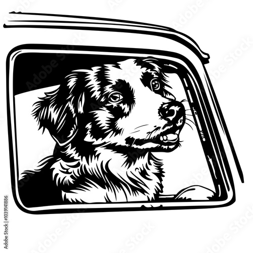 Dog In A Car