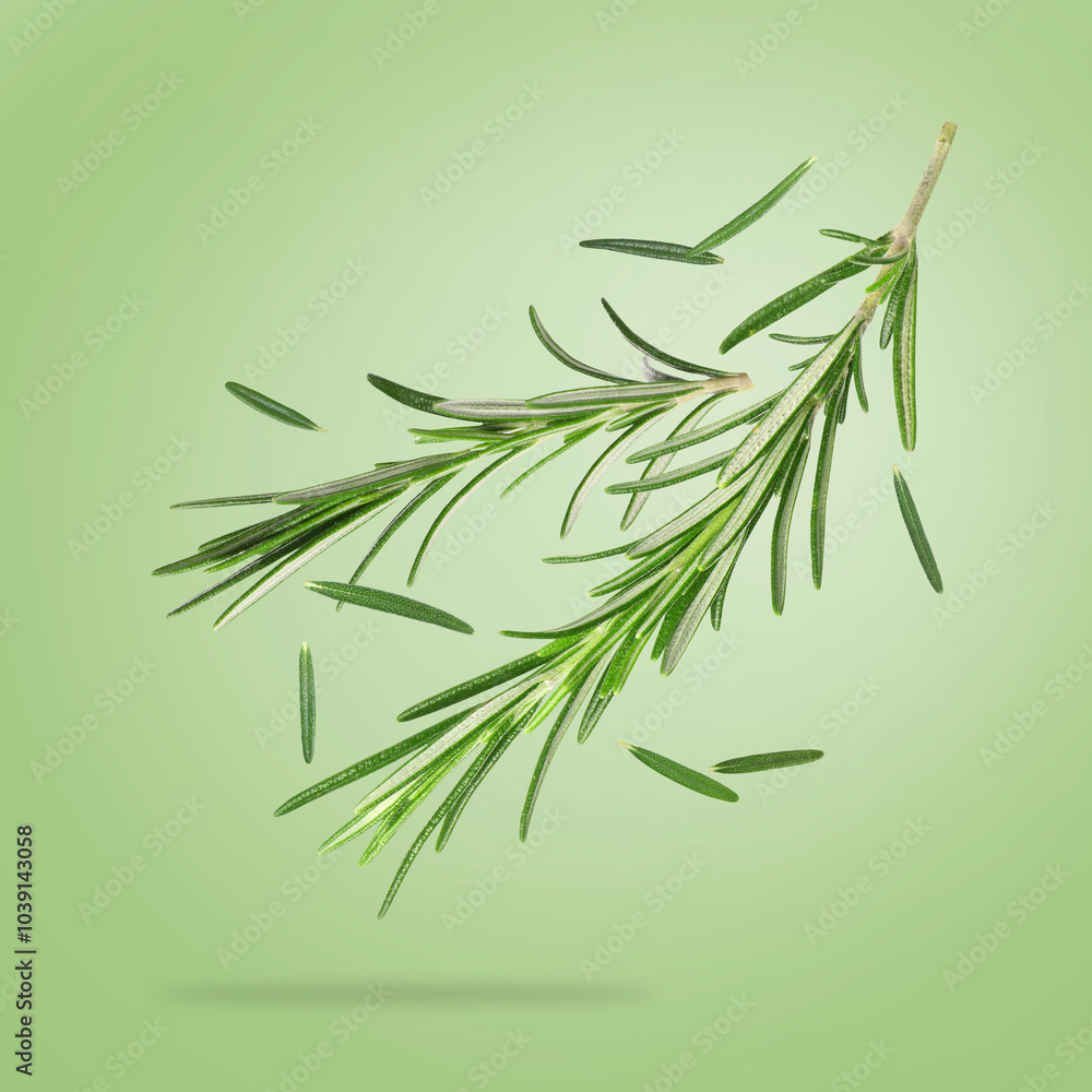 Naklejka premium Fresh rosemary in air on light green background