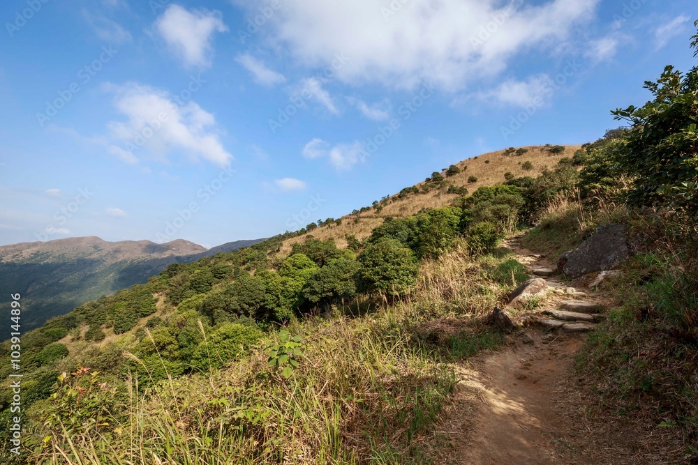 Mountain Trail on a Clear, Sunny Day with Blue Skies Mountain Trail on a Clear, Sunny Day with Blue Skies