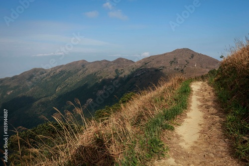 Mountain Trail on a Clear, Sunny Day with Blue Skies