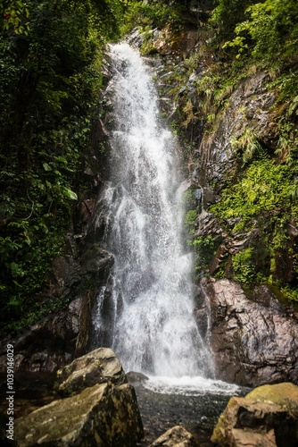 Serene Waterfall Cascading Through Lush Greenery in Forest, Ng Tung Chai, Tai Mo Shan, Hong Kong