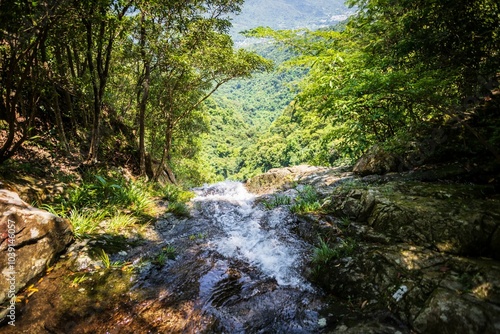 Rushing Waterfall Over Lush Green Forest Edge