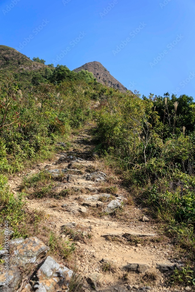 Obraz premium A Stone Stairway Ascends Through Lush Green Hills