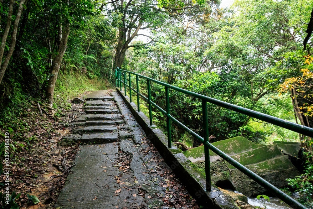 Winding Forest Path with Stone Steps and Green Railings Winding Forest Path with Stone Steps and Green Railings