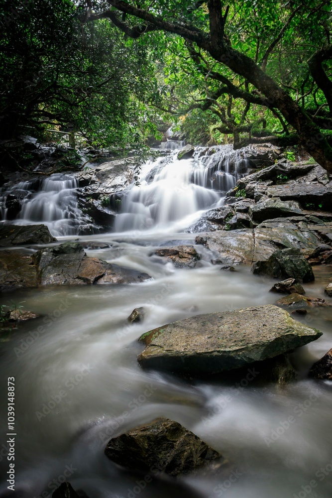 Flowing Stream through a Lush Forest Landscape Flowing Stream through a Lush Forest Landscape