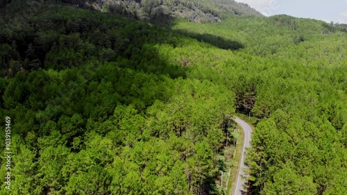 Aerial video of the beauty of a highway in the mountains in the middle of a pine forest