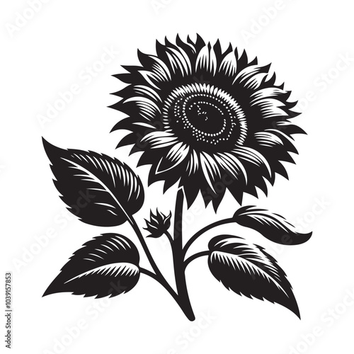 sunflower vector silhouette