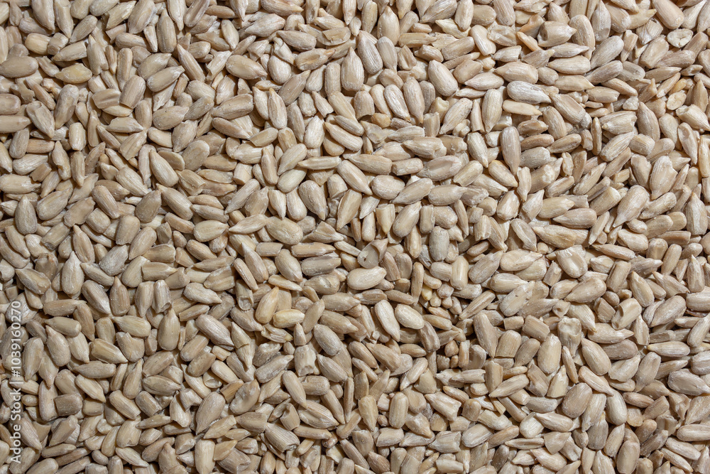 Peeled Sunflower Seeds Background: A Culinary Canvas of Shell-free Sunflower Seeds, Creating a Lively and Textured Background for Gourmet Cooking - Top View, Flat Lay Peeled Sunflower Seeds Background: A Culinary Canvas of Shell-free Sunflower Seeds, Creating a Lively and Textured Background for Gourmet Cooking - Top View, Flat Lay