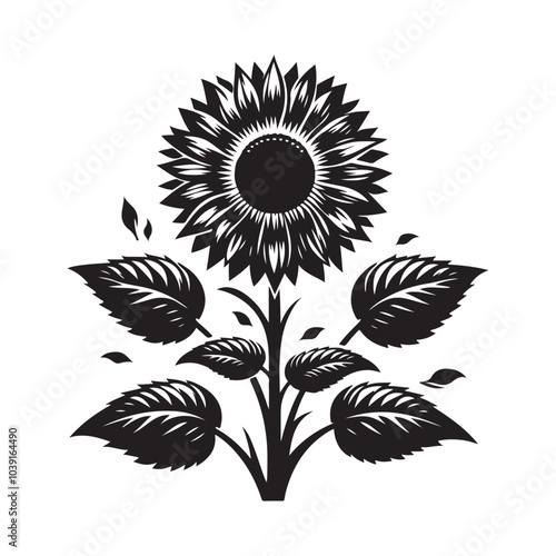 sunflower vector silhouette