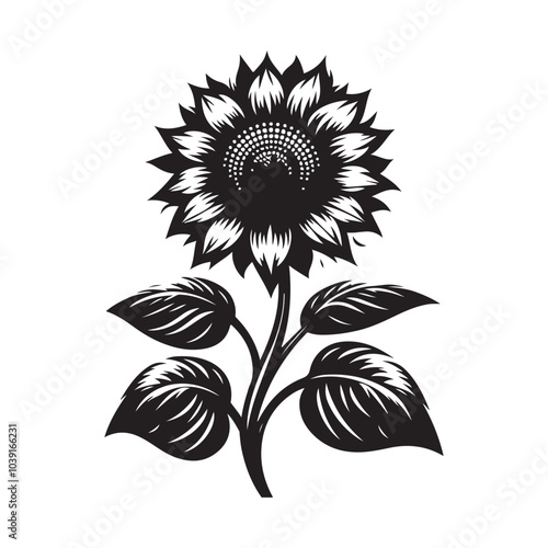 sunflower vector silhouette