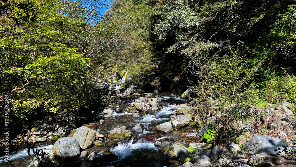 The beautiful views in Nagano The beautiful views in Nagano