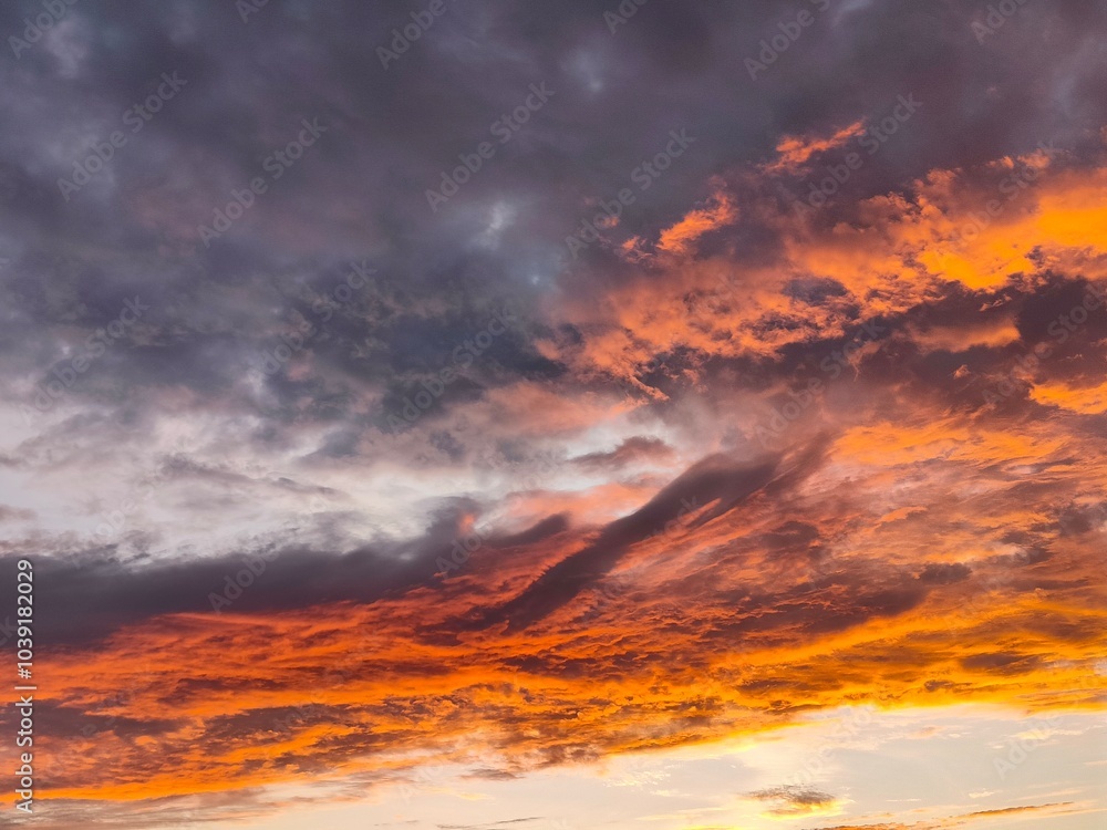atardecer atardecer