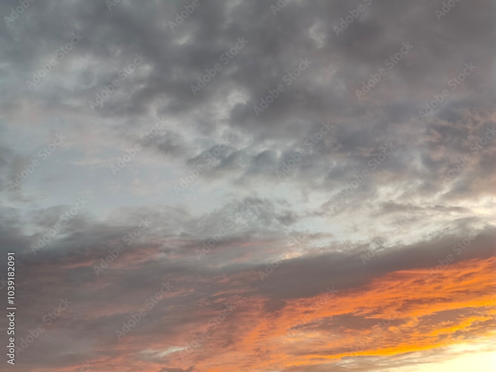 Fototapeta premium atardecer