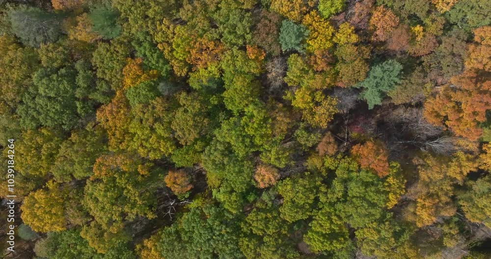 Late afternoon aerial autumn video of the area surrounding the Yorktown Heights, NY, USA and the the New Croton Reservoir. 10-16-2024 Late afternoon aerial autumn video of the area surrounding the Yorktown Heights, NY, USA and the the New Croton Reservoir. 10-16-2024