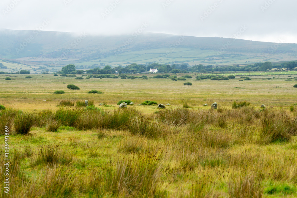 Countryside in Wales, UK. Countryside in Wales, UK.