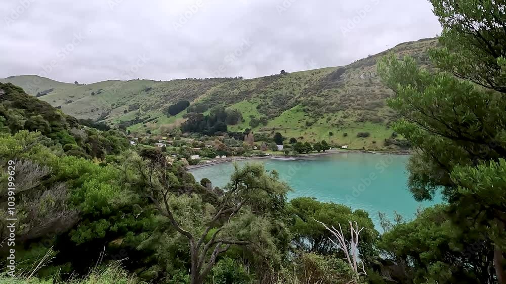 Akaroa Harbour and Onawe Track : Scenic Views of Rolling Hills and Rocky Coastline in Banks Peninsula, New Zealand Akaroa Harbour and Onawe Track : Scenic Views of Rolling Hills and Rocky Coastline in Banks Peninsula, New Zealand