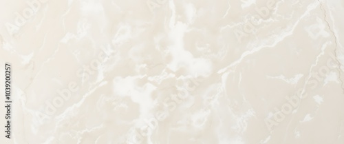 Taupe Marble with Gray Veins Background