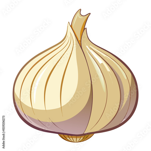 garlic isolated no background