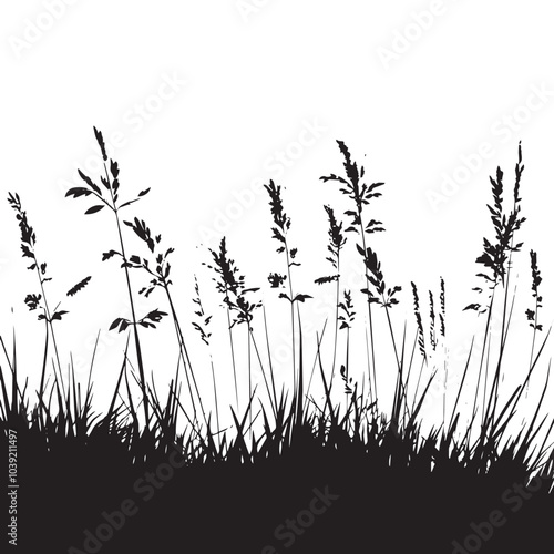 A meadow filled with tall grasses. silhouette illustration
