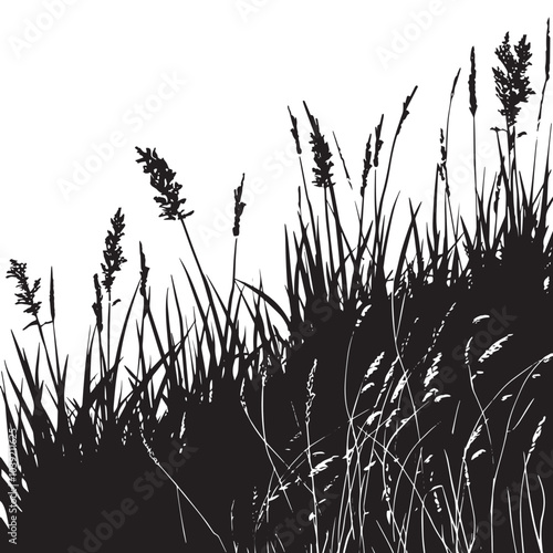 A meadow filled with tall grasses. silhouette illustration