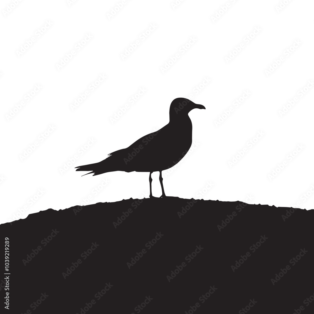 Obraz premium A seagulls silhouette
