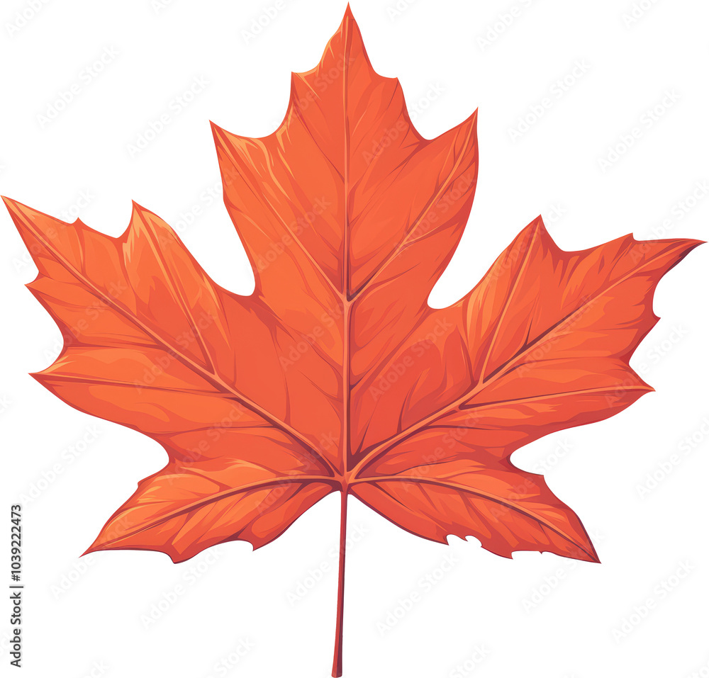 Single orange maple leaf Single orange maple leaf
