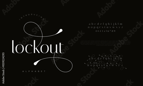 Lockout typography beauty fashion elegant minimalist serif italic fonts decorative wedding vintage retro logos. Minimal luxury font alphabet logo. Vector illustration