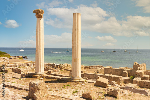 Фотография Columns in the Phoenician city of Tharros