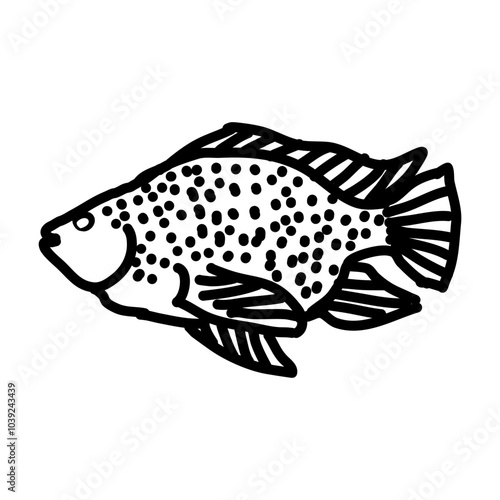 Nile tilapia