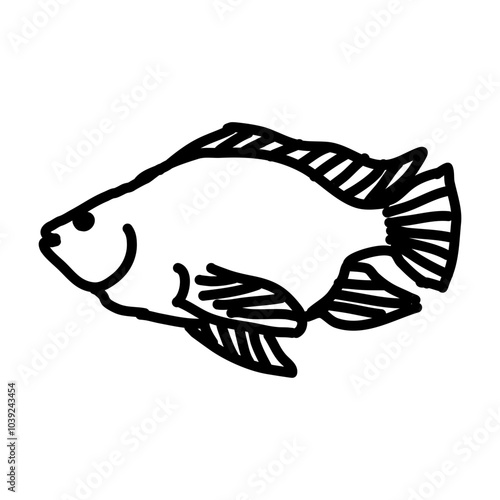 Nile tilapia
