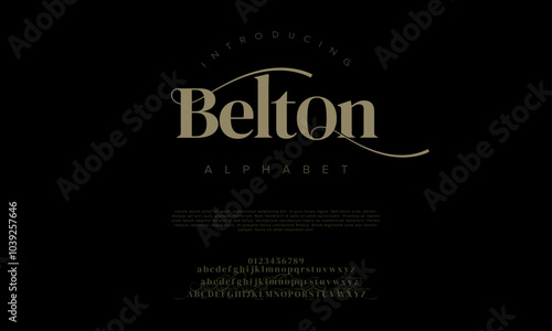 Belton typography beauty fashion elegant minimalist serif italic fonts decorative wedding vintage retro logos. Minimal luxury font alphabet logo. Vector illustration