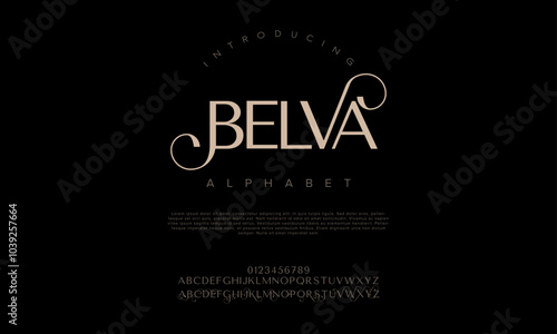 Belva typography beauty fashion elegant minimalist serif italic fonts decorative wedding vintage retro logos. Minimal luxury font alphabet logo. Vector illustration