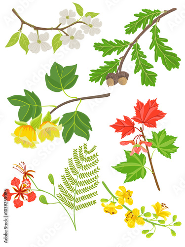 vector drawing branches of trees with green leaves and flowers isolated at white background, hand drawn illustration