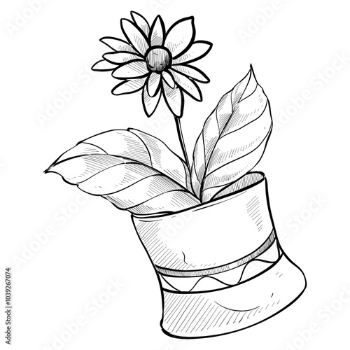 home plants handdrawn illustration