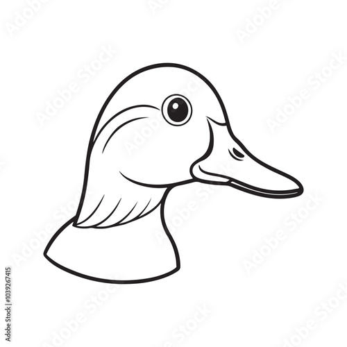 Mandarin Duck head vector art design