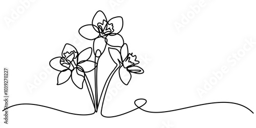 Orchid flower in continuous line art drawing style. Beautiful cattleya flowering plant black linear design isolated on white background. Vector illustration, Daffodil Flowers Single Line Drawing