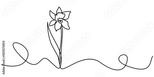 Orchid flower in continuous line art drawing style. Beautiful cattleya flowering plant black linear design isolated on white background. Vector illustration, Daffodil Flowers Single Line Drawing